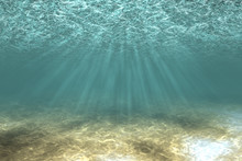 Sandy Bottom Underwater