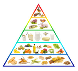 food pyramid