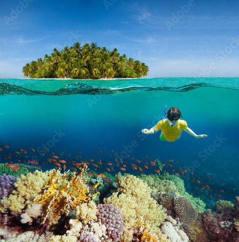 Dekoracja na wymiar  koralowce-nurek-i-wyspa-palmowa
