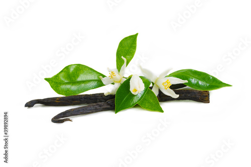 Fototapeta na wymiar Vanilla sticks with flowers