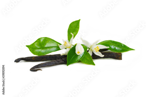 Naklejka - mata magnetyczna na lodówkę Vanilla sticks with flowers