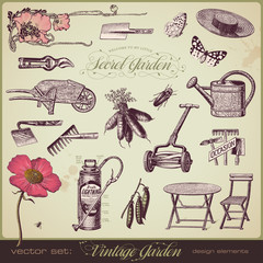 vector set: vintage garden design elements