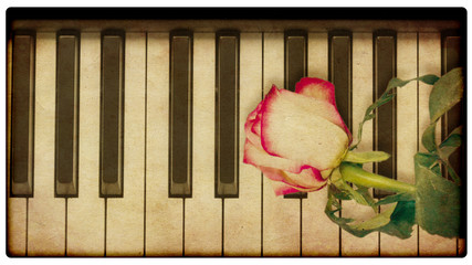 Wall Mural - Music background with rose