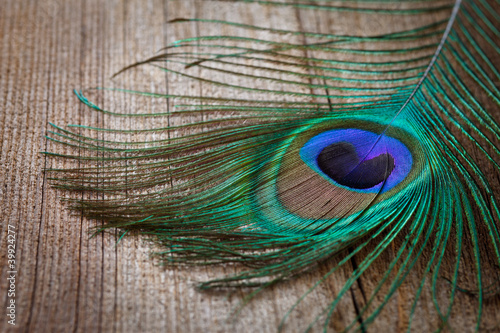 Obraz w ramie peacocks feather on wooden board