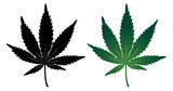 Fototapeta  - Cannabis leaf