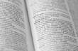© dmitryelagin - Dictionary page with word in focus