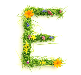 Wall Mural - Letters made of flowers and grass