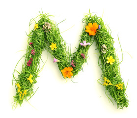 Wall Mural - Letters made of flowers and grass