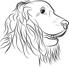 Dog Portrait On A White Background, Vector Illustration