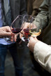 © Redzen - Groupe d'amis trinquant à la bonne santé lors d'une dégustation de vins à Bordeaux en France