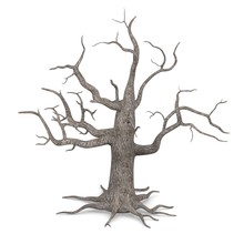 3d Render Of Dead Tree