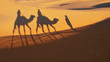 Camel ride on the Sahara Desert, Morocco