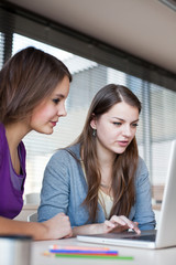 Wall Mural - Two female college students working on a laptop computer