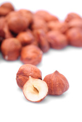 Poster - Hazelnuts