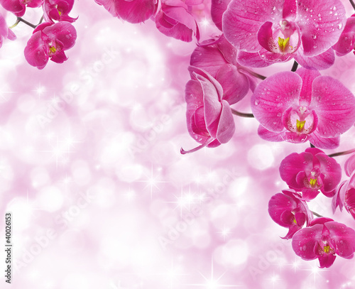 Obraz na płótnie canvas dwuczęściowy "dyptyk" Kwiaty orchidei z kropli wody, karty pozdrowienia
