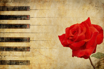 Wall Mural - Music background with rose