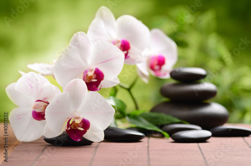 Tapeta ścienna Koncepcja spa