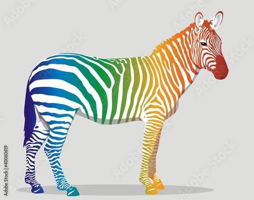 Obraz na płótnie canvas dwuczęściowy "dyptyk" Zebra