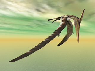 Wall Mural - Pteranodon