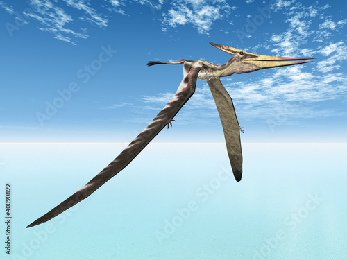 Board z aluminiowym obramowaniem Latający pteranodon dinozaura
