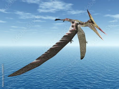Board z aluminiowym obramowaniem Pteranodon