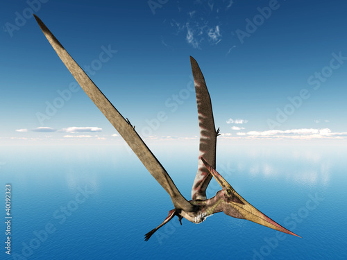 Board z aluminiowym obramowaniem Latający pteranodon dinozaura