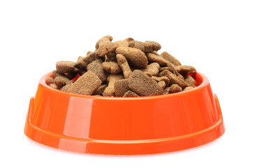 dry dog food in orange bowl  isolated on white