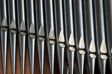 Organ Pipes Close-up