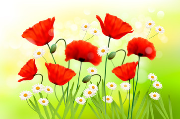 Aufkleber - Spring background with red poppy and daisy. Vector