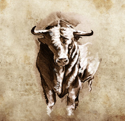 Papier Peint - Sketch of tattoo art, spanish bull, dangerous bull with beaked h