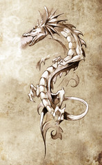 Papier Peint - Sketch of tattoo art, big medieval dragon, fantasy concept