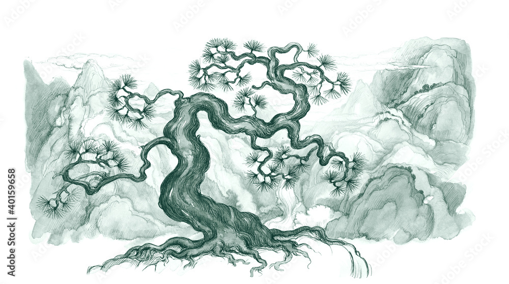 bonsai
