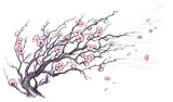 Fototapeta Młodzieżowe - Japanese cherry tree