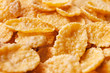 © bergamont - corn flakes