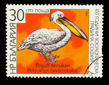 BULGARIA - CIRCA 1988: A Stamp Printed In BULGARIA, Shows Great