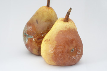 Wall Mural - Moldy pear