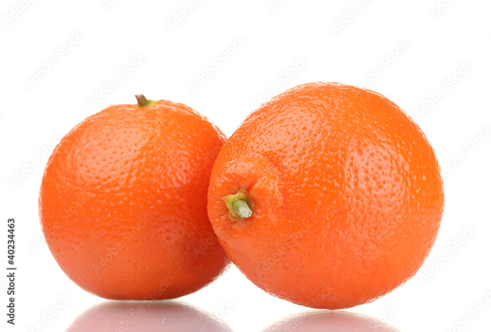 mineola fruits isolated on white