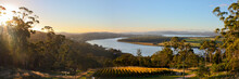 Winery Panorama In Tamar Valley, Tasmania