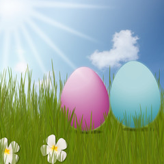 colorful Easter Eggs sitting on grass field with blue sky backgr