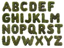 Grass Alphabet