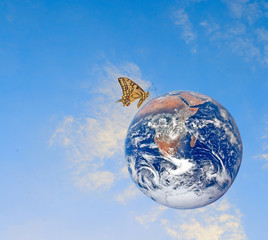 Wall Mural - butterfly on planet earth.elements of this image furnished by na