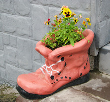 Flower Pot In Shape Of Shoe With Blooming Flowers