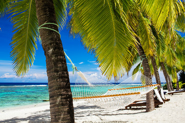 Hammock between palm trees on tropical beach