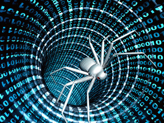 Internet bug