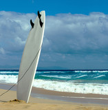 Fototapeta Zachód słońca - Surfboard on Fuerteventura beach