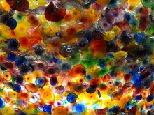 Coloured Glass Jellyfish