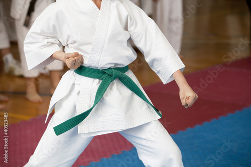 Plakat na papierze fotorealistycznym Trening karate