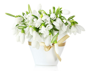 Poster - beautiful bouquet of snowdrops in vase with bow isolated