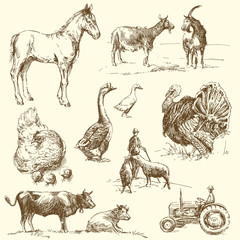 Canvas Print - farm - hand drawn collection