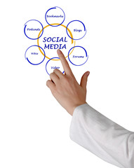 Wall Mural - Diagram of social media